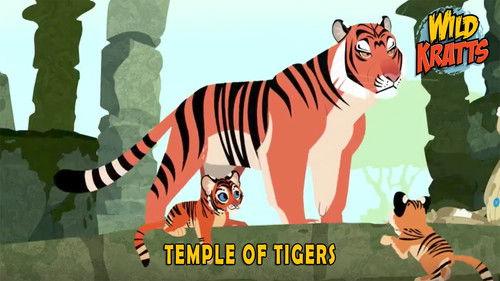 Wild Kratts Season 5 Episode 2 - Temple Of Tigers