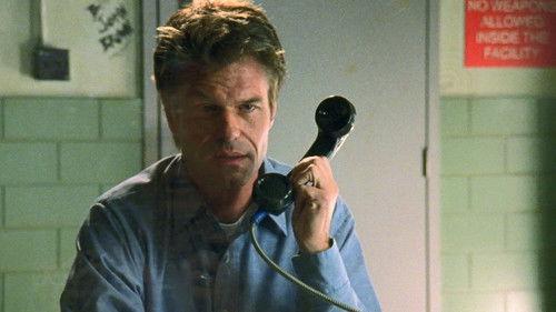 undefined Season 2 Episode 15 - The Quick and the Wed