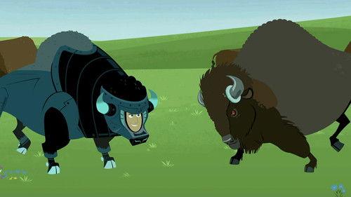 Wild Kratts Season 3 Episode 2 - Where the Bison Roam