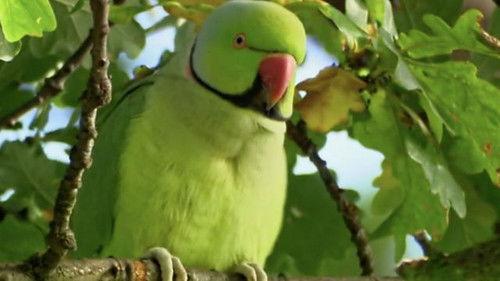 Countryfile Season 34 Episode 9 - Hidden Treasures