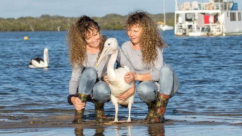 Australian Story Season 26 Episode 10 - Birds of a Feather