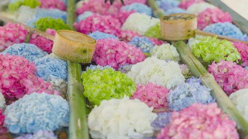 Core Kyoto Season 11 Episode 10 - Flower Art: Ephemeral Colors for the Mind and Soul