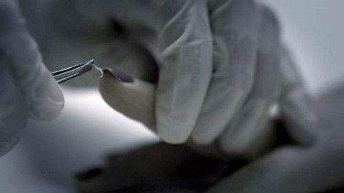 The Lake Erie Murders Season 1 Episode 6 - The Butcher of Buffalo