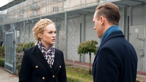 O mnie się nie martw Season 6 Episode 12 - Episode 12