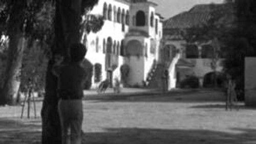 Poly Season 5 Episode 1 - Episode 1