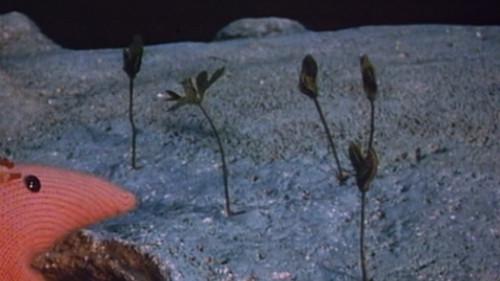 Clangers Season 2 Episode 8 - The Seed