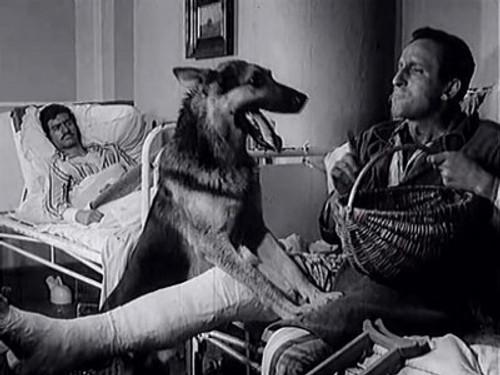 Four Tank-Men and a Dog Season 1 Episode 6 - Most
