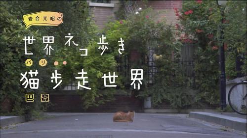 Mitsuaki Iwago's World “Cats” Travelogue Season 1 Episode 24 - Paris
