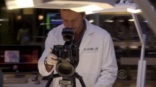 CSI: NY Season 6 Episode 11 - Second Chances