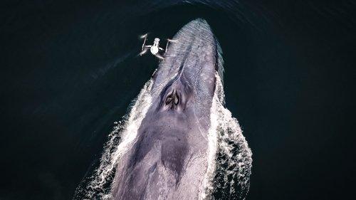 One Strange Rock Season 1 Episode 6 - Escape