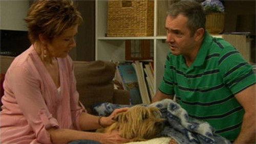 Neighbours Season 28 Episode 19 - Episode 6329