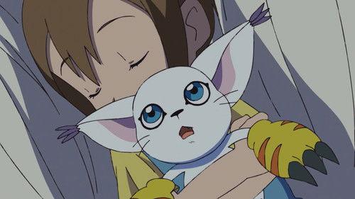 Digimon Adventure: Season 1 Episode 34 - Hikari and Tailmon