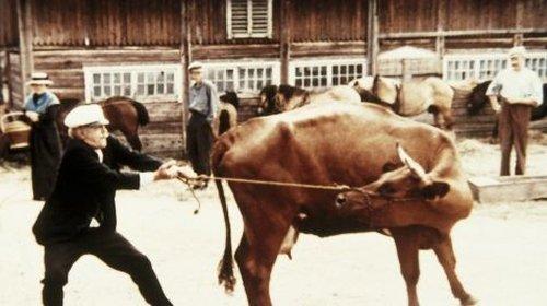 Emil of Lönneberga Season 1 Episode 7 - Koa är galen