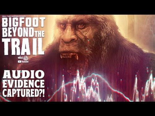 Bigfoot Beyond the Trail Season 1 Episode 23 - Bigfoot Audio Evidence Captured?! (Audio Analysis Video)