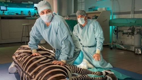 Tierärztin Dr. Mertens Season 9 Episode 6 - Episode 6