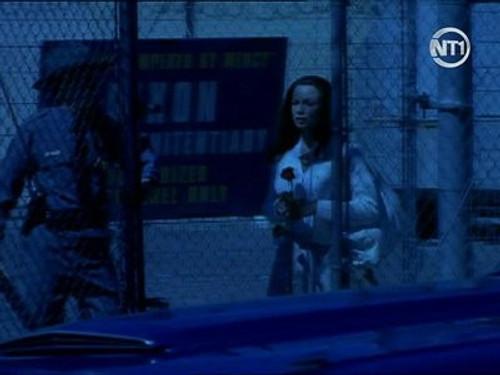 Profiler Season 2 Episode 2 - Primal Scream