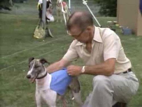 The Littlest Hobo Season 5 Episode 6 - Born To Run