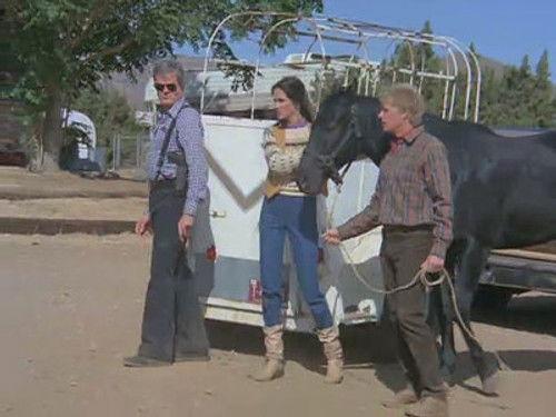 The Greatest American Hero Season 3 Episode 12 - Desperado