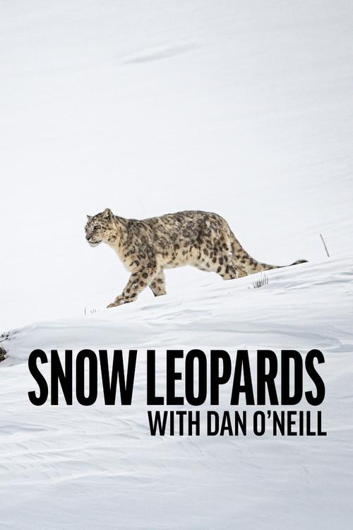 Snow Leopards with Dan O'Neill poster