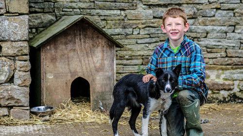 Our Yorkshire Farm Season 4 Episode 1 - Episode 1
