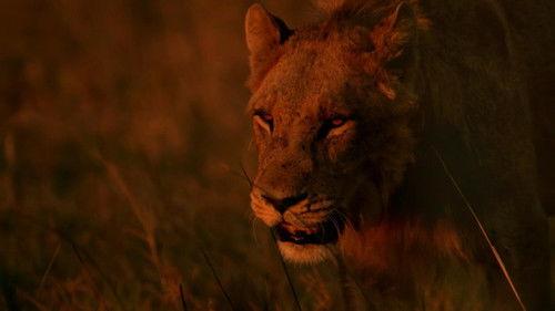 Savage Kingdom Season 4 Episode 4 - Line of Fire