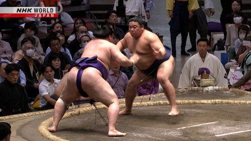 GRAND SUMO Highlights Season 17 Episode 8 - Day 8