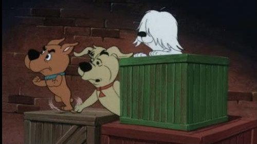 Scooby-Doo and Scrappy-Doo Season 1 Episode 16 - The Ransom of Scooby Chief