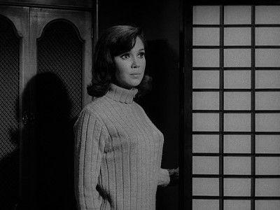 undefined Season 9 Episode 27 - The Case of the Misguided Model