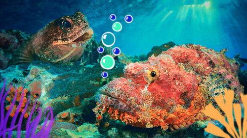 Reef School Season 2 Episode 6 - Class Pet