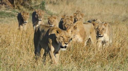 Savage Kingdom Season 4 Episode 2 - The Rebellion