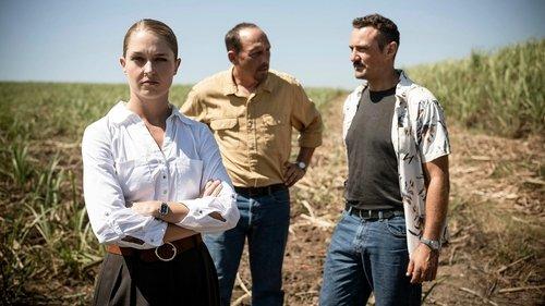 Catch Me a Killer Season 1 Episode 8 - The Phoenix Strangler (1)