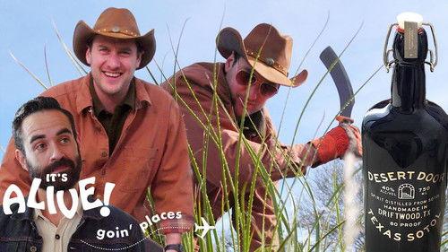 It's Alive: Goin' Places Season 1 Episode 3 - Brad Distills Sotol