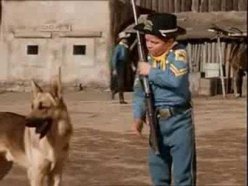 The Adventures of Rin Tin Tin Season 1 Episode 3 - Rin Tin Tin in the Flaming Forest