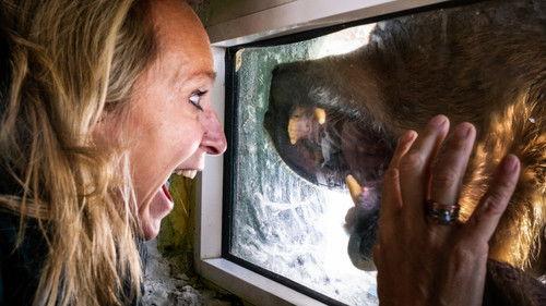 Floortje gaat mee Season 1 Episode 1 - Romania