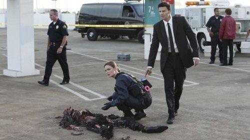 Bones Season 5 Episode 2 - The Bond in the Boot
