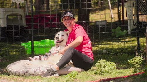 Queer Eye Season 6 Episode 7 - Snow White of Central Texas