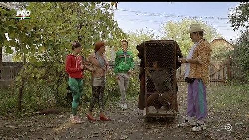 Las Fierbinţi Season 5 Episode 3 - Semaforul