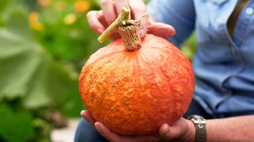 Gardening Australia Season 36 Episode 7 - Episode 7 Autumn: Indoor Stunners & Bruny Island