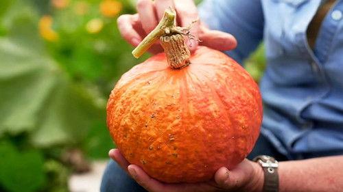 Gardening Australia Season 36 Episode 7 - Episode 7 Autumn: Indoor Stunners & Bruny Island