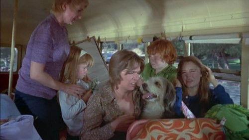 The Partridge Family Season 1 Episode 8 - But the Memory Lingers On