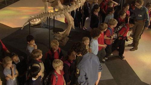 Andy's Dinosaur Adventures Season 1 Episode 6 - Triceratops and Horn