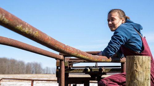 The Incredible Dr. Pol Season 18 Episode 4 - Marvelous Miss Maisey