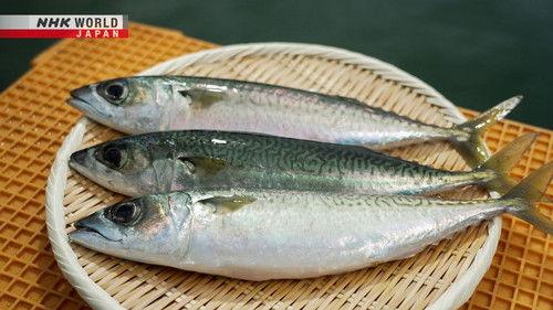 Trails to Oishii Tokyo Season 4 Episode 23 - SABA