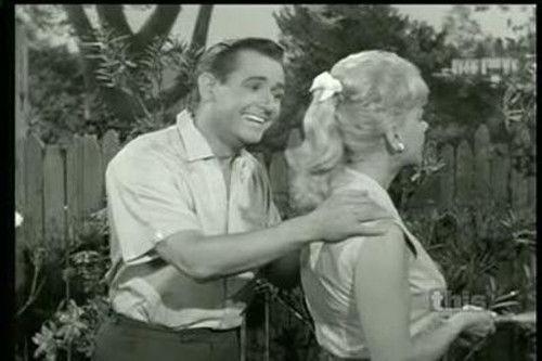 Mister Ed Season 3 Episode 7 - Wilbur in the Lion's Den