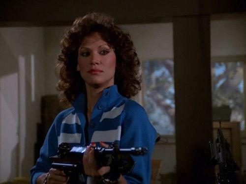 Matt Houston Season 1 Episode 24 - The Hunted