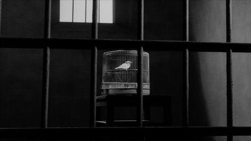 Ultra Q Season 1 Episode 12 - I Saw a Bird