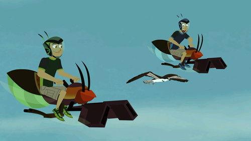 Wild Kratts Season 3 Episode 5 - Osprey