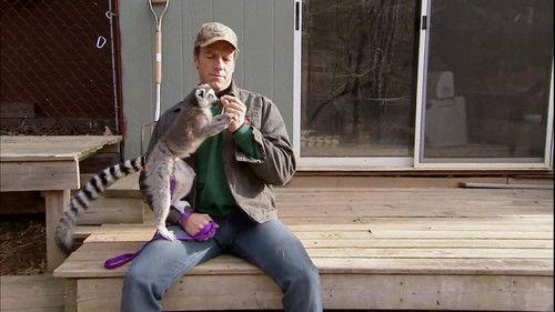 Dirty Jobs Season 3 Episode 17 - Exotic Animal Keeper