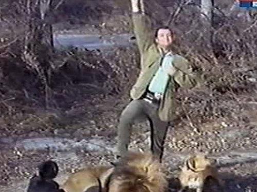 Daktari Season 3 Episode 24 - The Lion Killer