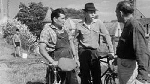 Poly Season 1 Episode 8 - Episode 8